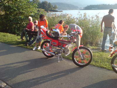Bikes (28)